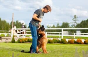 Ask the Trainer: Your Dog Training Questions Answered