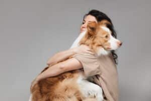 Building a Strong Bond with Your Dog Through Positive Reinforcement
