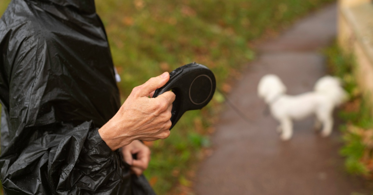 A person wearing a black raincoat is holding a retractable dog leash. A small white dog is standing on-leash in the distance.