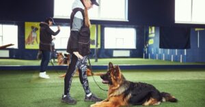 A woman standing near a large brown and black dog lying on green turf in an indoor training room with windows.