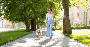 A woman is walking a fluffy white and brown dog on a leash along a tree-lined brick path. Buildings are in the background.